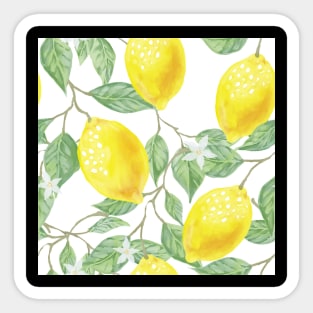 Lemon tree Sticker